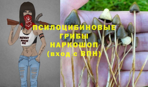 ALPHA PVP Вяземский