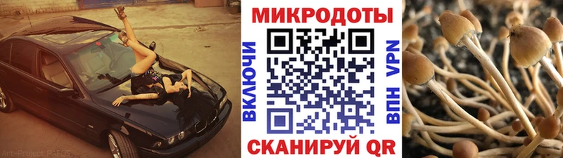 Псилоцибиновые грибы Psilocybine cubensis  Купить  Салехард 