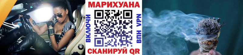 Шишки марихуана сатива  Купить закладки  Салехард 